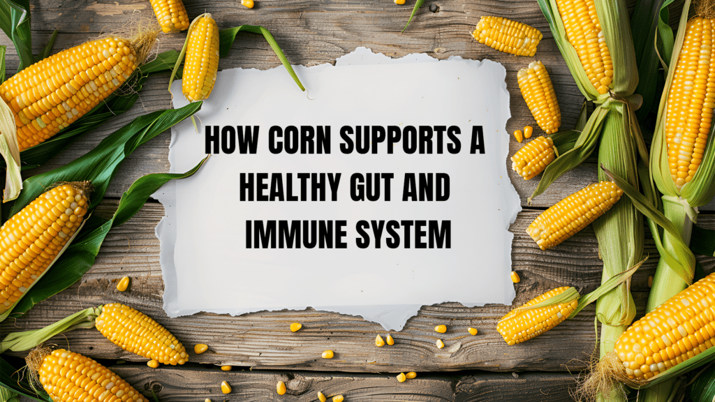 Strength from the Inside: How Corn Supports a Healthy Gut and Immune System